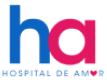 Logo Hospital de Amor